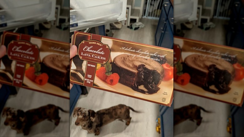Hand holding box of Trader Joe's Chocolate Lava Cakes