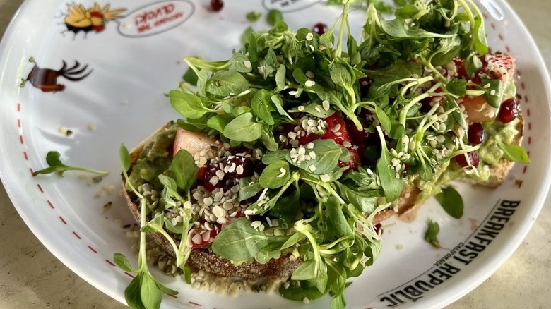 Toast piled high with greens and strawberries served on a creative plate at Breakfast Republic