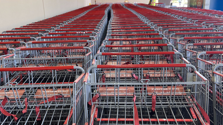 Shopping carts at Costco