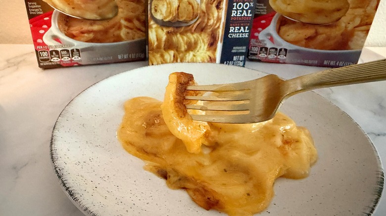 Fork holding cheesy scalloped potatoes over white plate of scalloped potatoes