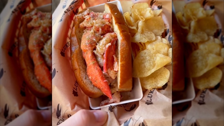 Lobster roll from Luke's Lobster brimming with seasoned lobster meat