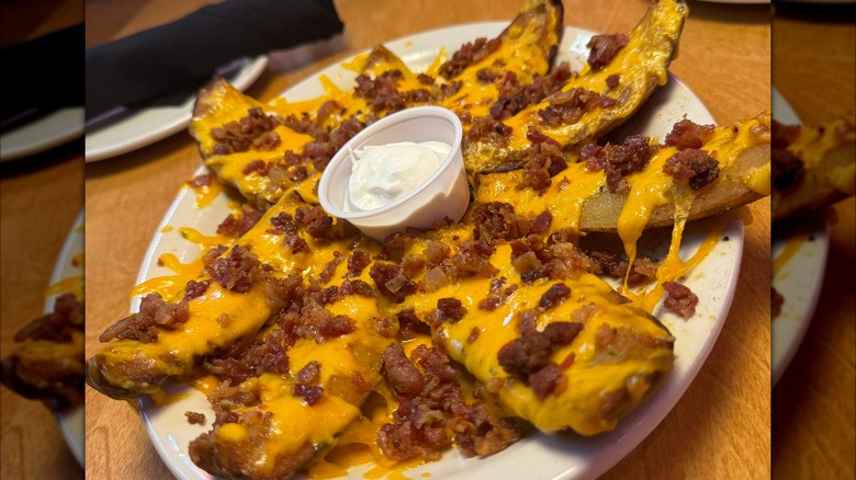 Plate of potato skins from Texas Roadhouse with cup of sour cream