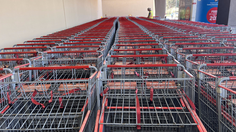 View of Costco shopping carts