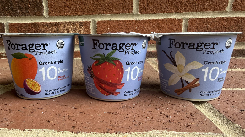 Three flavors of Forager Project Greek-style yogurt lined up on brick surface