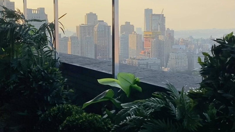 the view of the new york city skyline