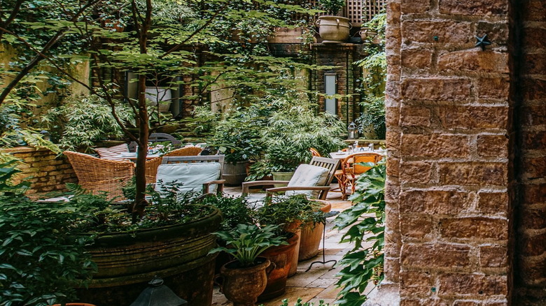 a lush outdoor courtyard with chairs and brick walls