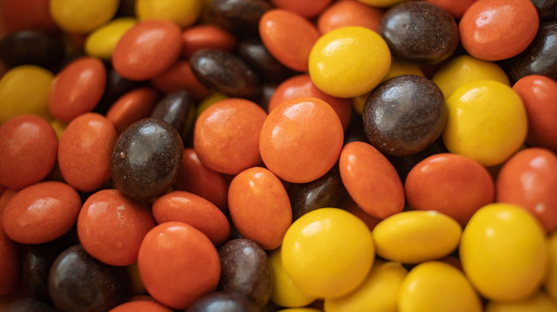 Reese's Pieces close up