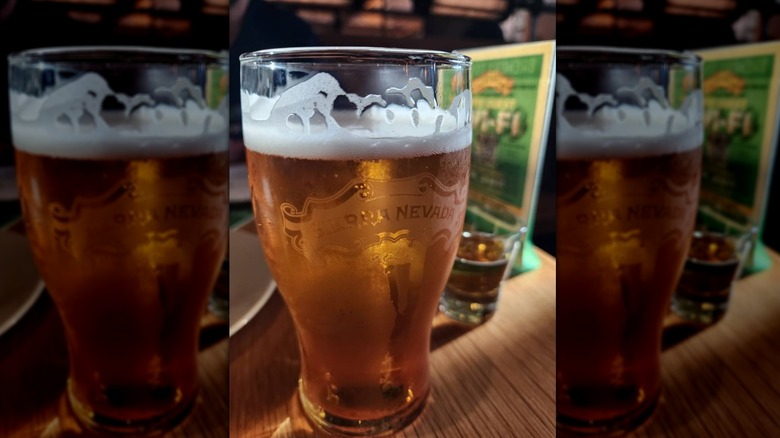 Beer in Sierra Nevada glass