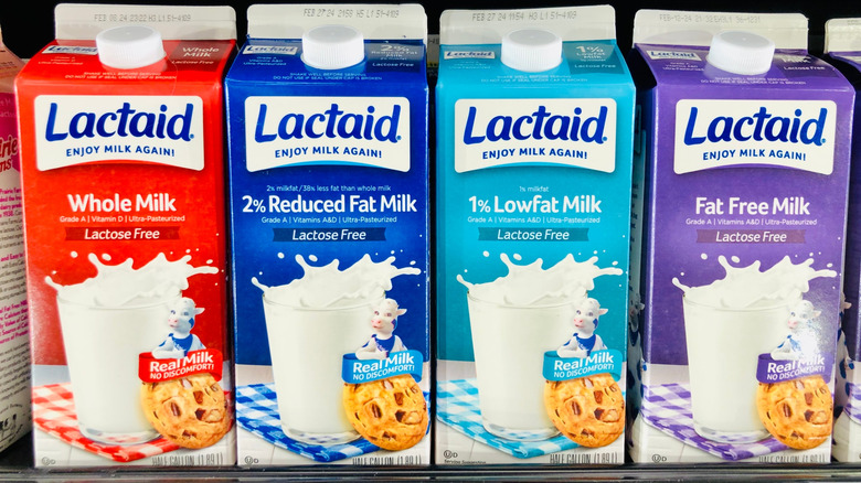 Cartons of Lactaid Milk on the shelf at the groceries store.
