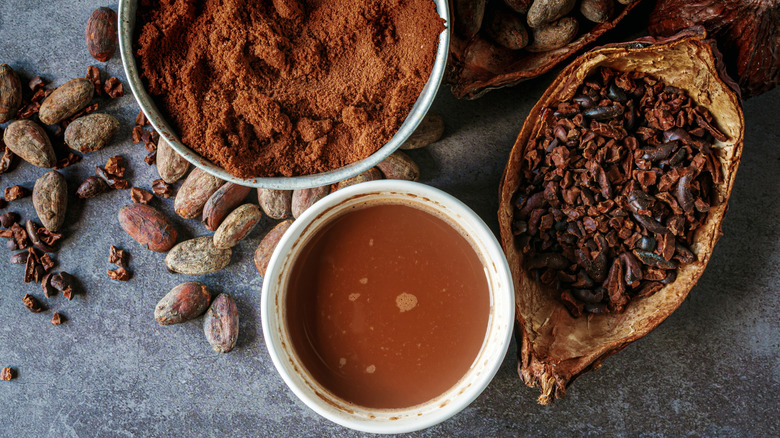 A variety of cocoa products on slate board including dried cacao beans, powder, cocoa nibs, and drinking cacao