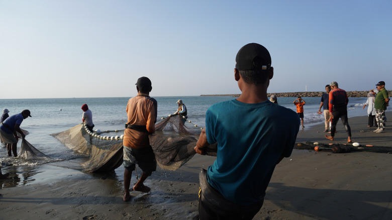 Fishermen pull their net on a beach