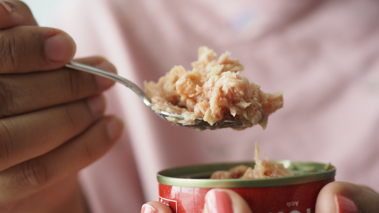 7 Of The Biggest Canned Fish Lawsuits Of All Time - Tasting Table