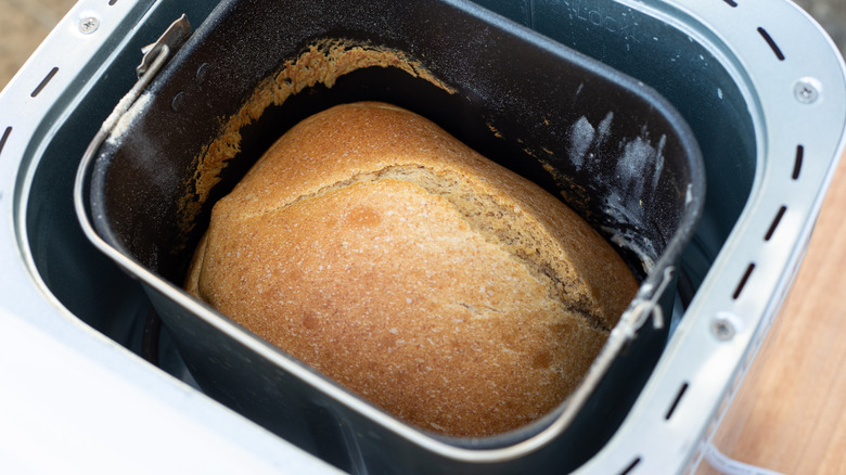 Cooked loaf of bread in a bread machine