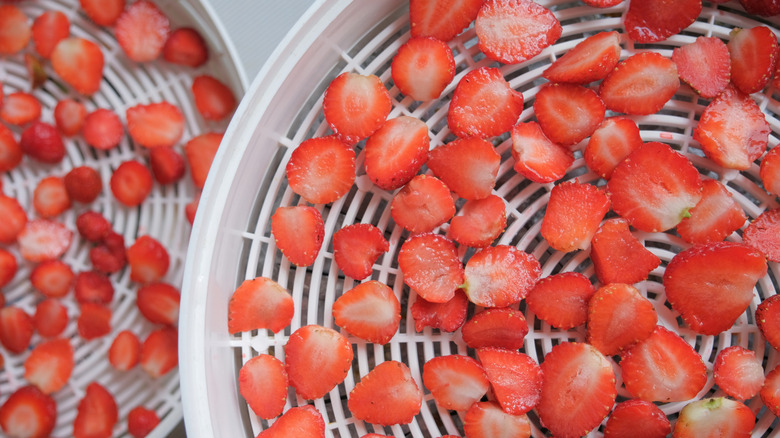 Sliced strawberries laid on a dehydrator