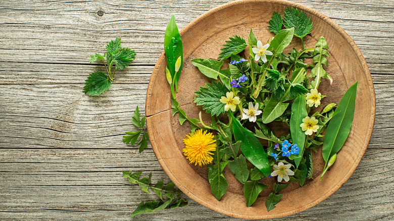 dandelion and other leaves on a brown plate on a wooden table