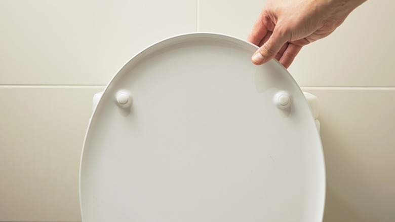 Close-up of a hand closing the lid of a toilet