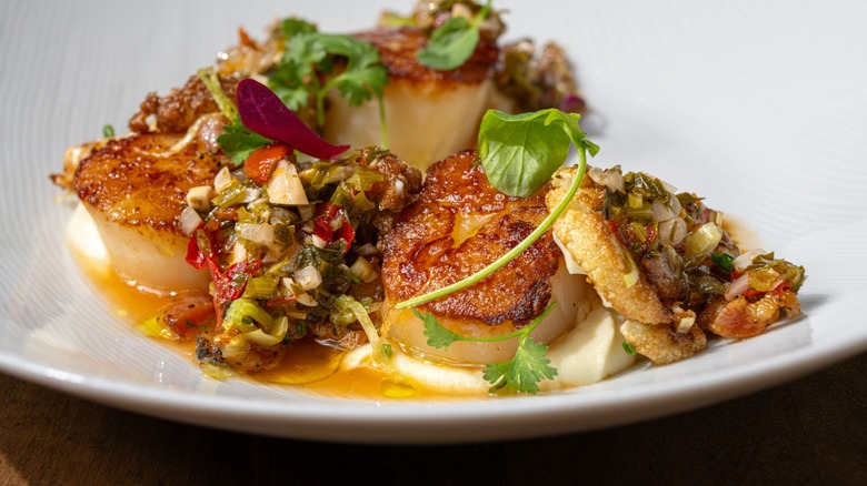 Seafood dish with scallops and octopus on a white plate