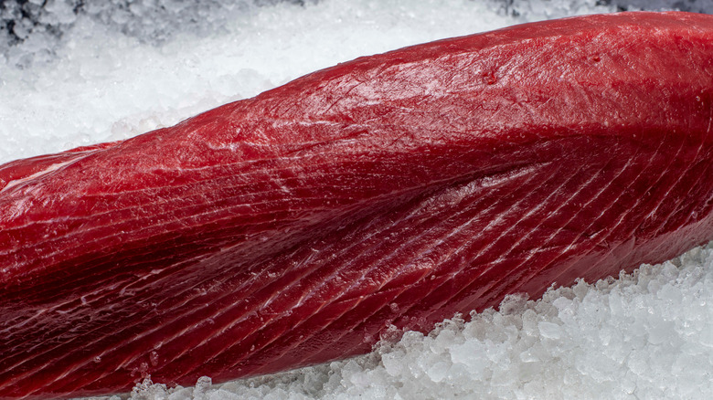 Vibrant tuna loin on ice chips at the fish counter.