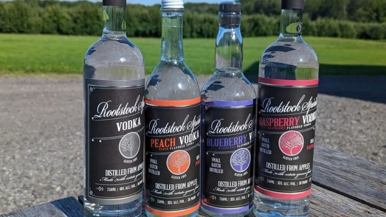 Label views of a suite of Rootstock vodka expressions on a picnic table on a sunny day