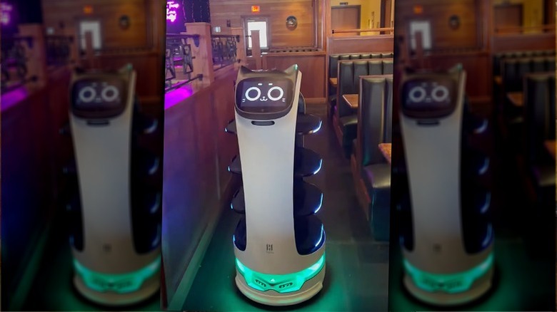 Mexican table spread of mains and sides