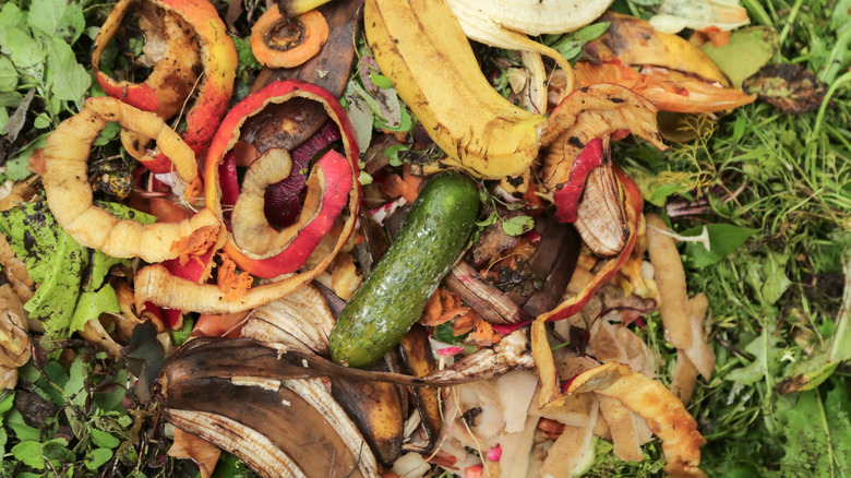 Various food scraps in a heap