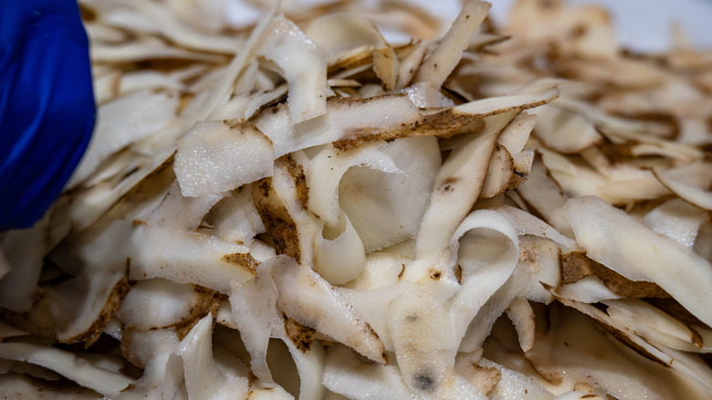 Heap of potato peels