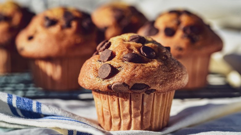chocolate chip muffins resting on a cooling rack