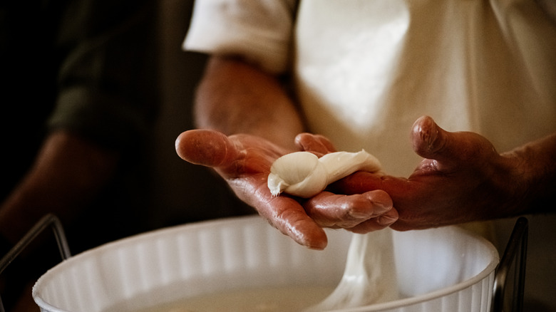 Hands holding length of tied mozzarella
