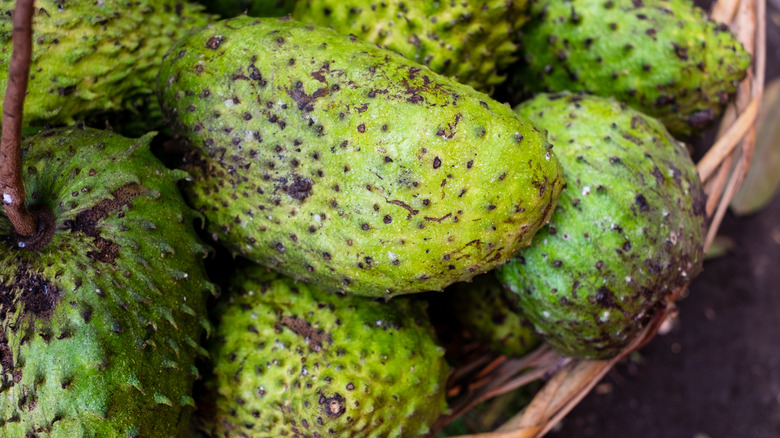 Organic ripe soursop in woven basket