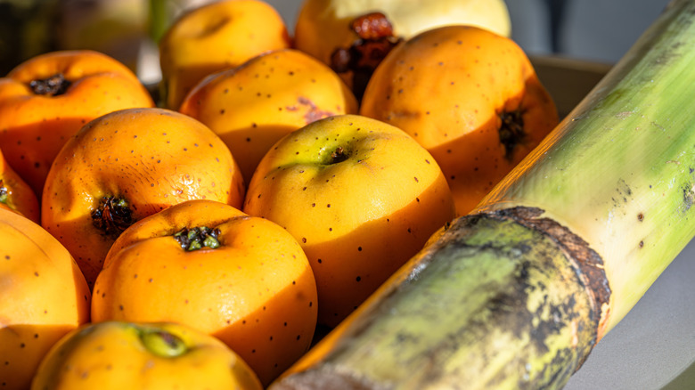 A close-up of tejocotes
