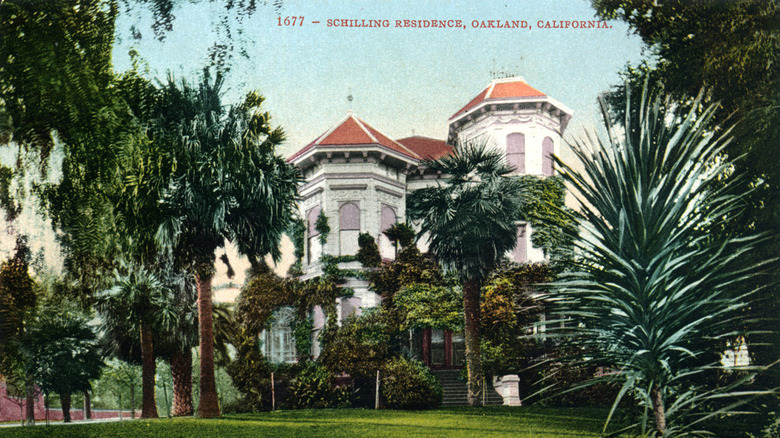 vintage image of August Schilling's imposing Oakland home, a large manshion in white stone with two turrets, covered in ivy and surrounded by palm trees