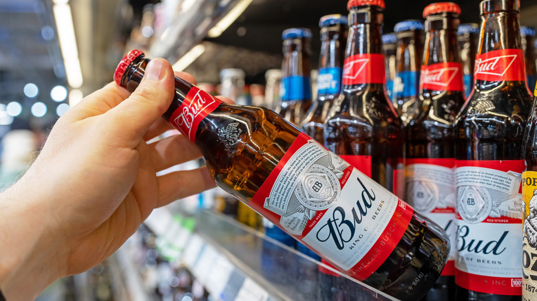 Hand taking a bottle of Budweiser off a store shelf