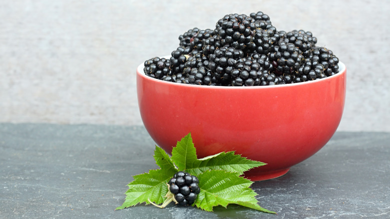 Heaping bowl of fresh blackberries