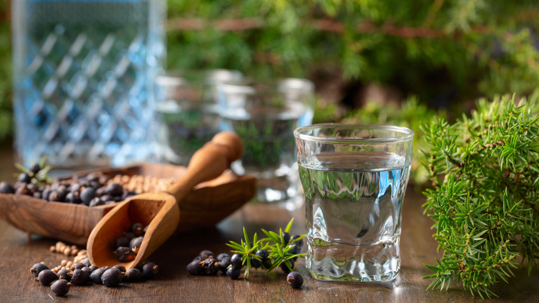 A glass of gin shown by some of its classic botanical ingredients