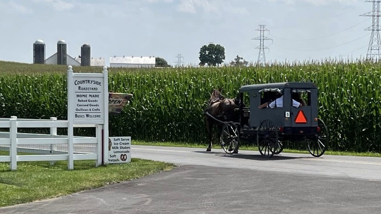 Horse-drawn buggy on the road beside entry to Countryside Road Stand