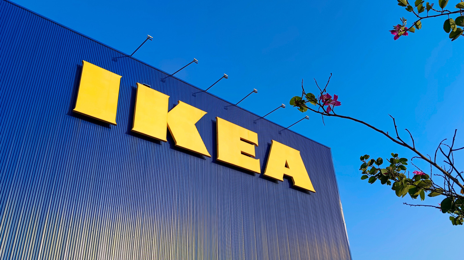 8 IKEA Food Court Rules Every Shopper Should Know - Tasting Table
