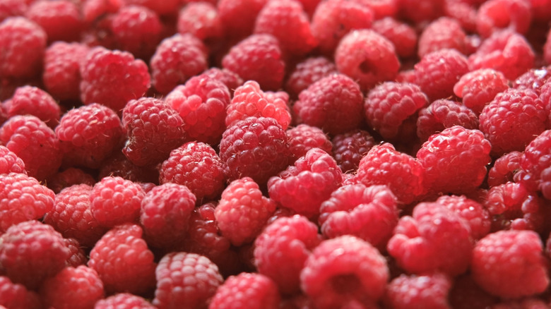 Heap of red raspberries