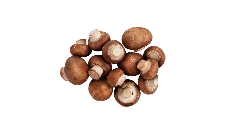 portobello mushrooms on white background