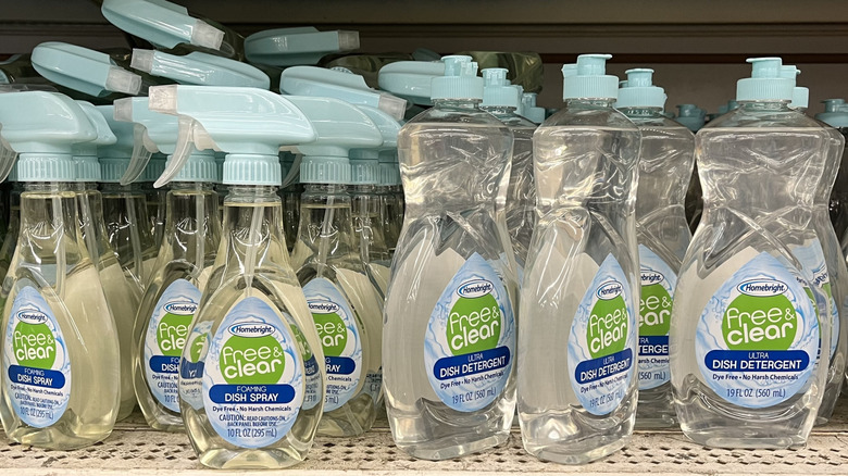 Homebright Free & Clear dish cleaning items on shelf at Dollar Tree