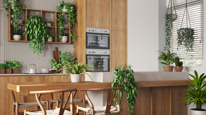Kitchen with wood table and cabinets decorated with leafy green house plants