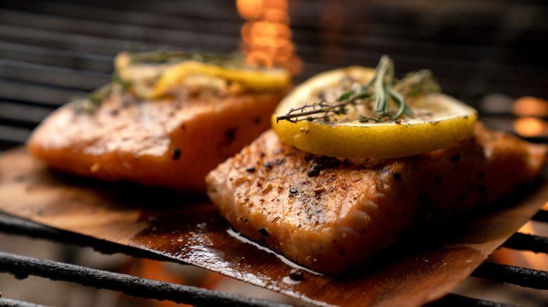two salmon fillets on plank on grill