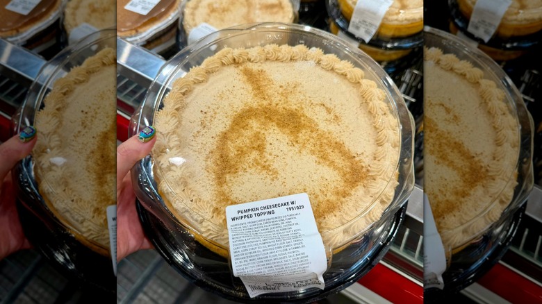 Hand holding Kirkland Signature pumpkin cheesecake