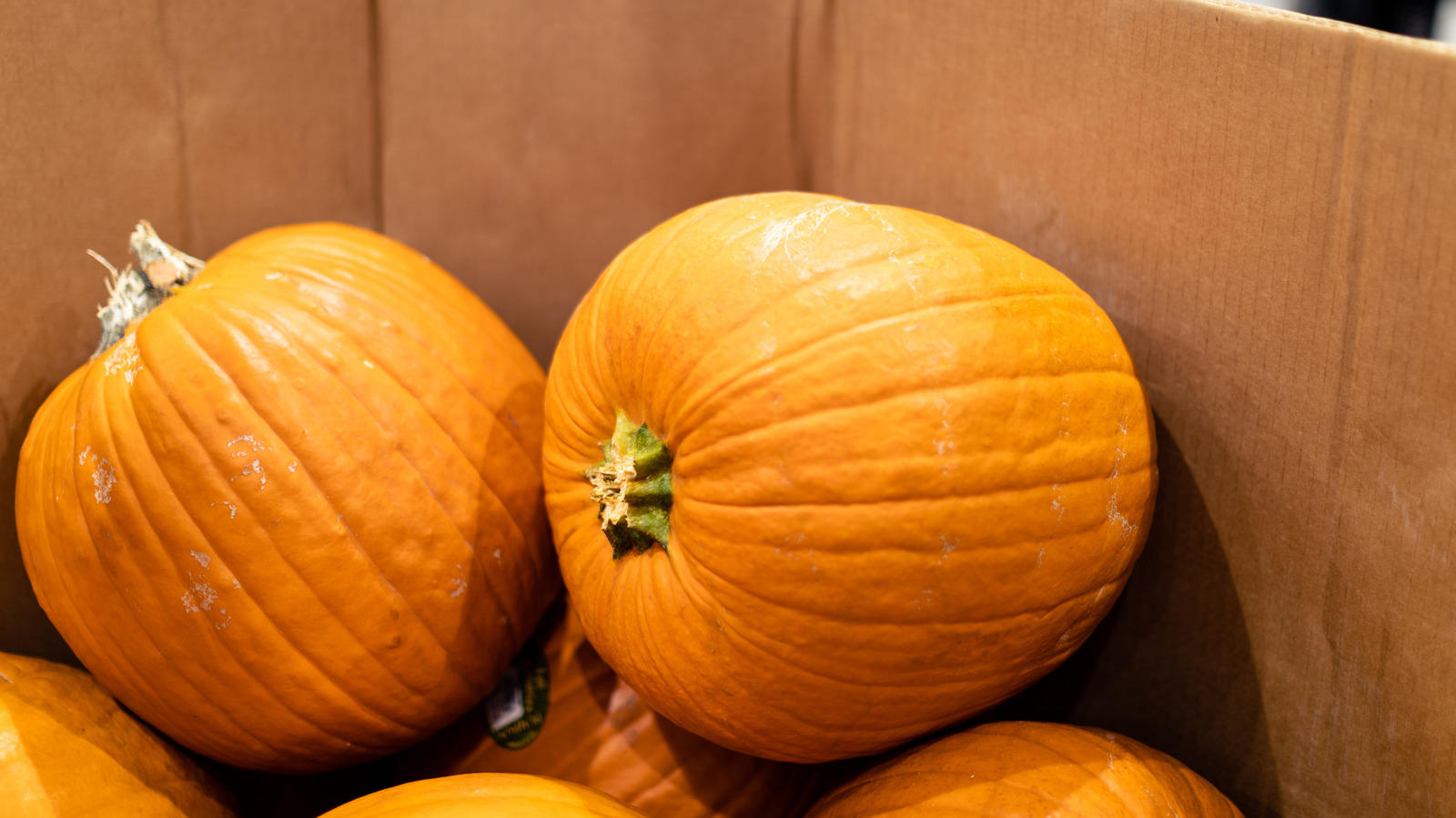 8 Most Beloved Costco Pumpkin Finds Of All Time