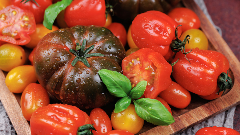 Box of local fresh tomatoes