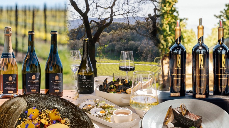 Various wine bottles with plates of pairing bites