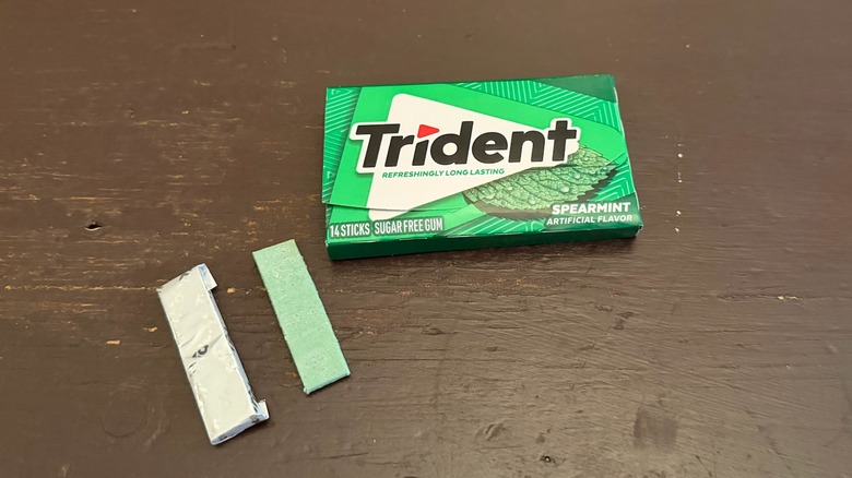 Trident spearmint gum pieces