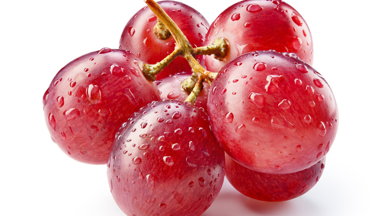 Close up of a cluster of freshly washed pink-red fresh grapes