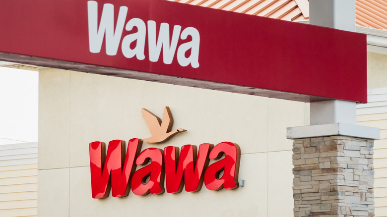A view of the front of the building with Wawa sign and Wawa goose