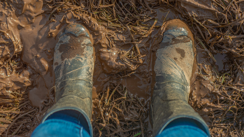Top view of a pair of waterproof rain boots in the mud