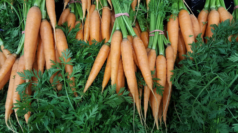a display of baby carrots in bundles with the tops attached